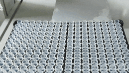 VID_20250321_114646[00_00_00--00_00_10].gif