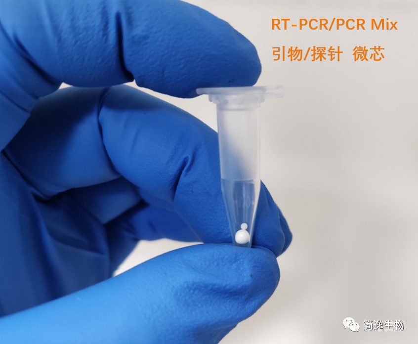 等量冻干微球试剂-恒温扩增LAMP - 简逸生物科技